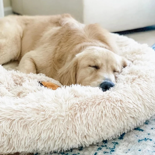 Kuschelig Hunde Donut Bett Größe M 70cm