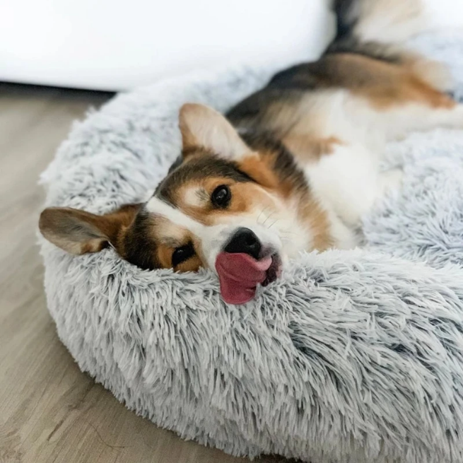 Kuschelig Hunde Donut Bett Größe M 70cm